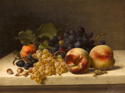 プラム、ブドウ、ヘーゼルナッツのある静物 作： Johann Wilhelm Preyer